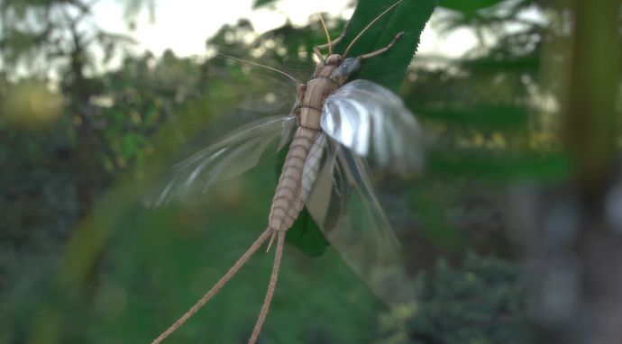 Najmniejsze cuda świata