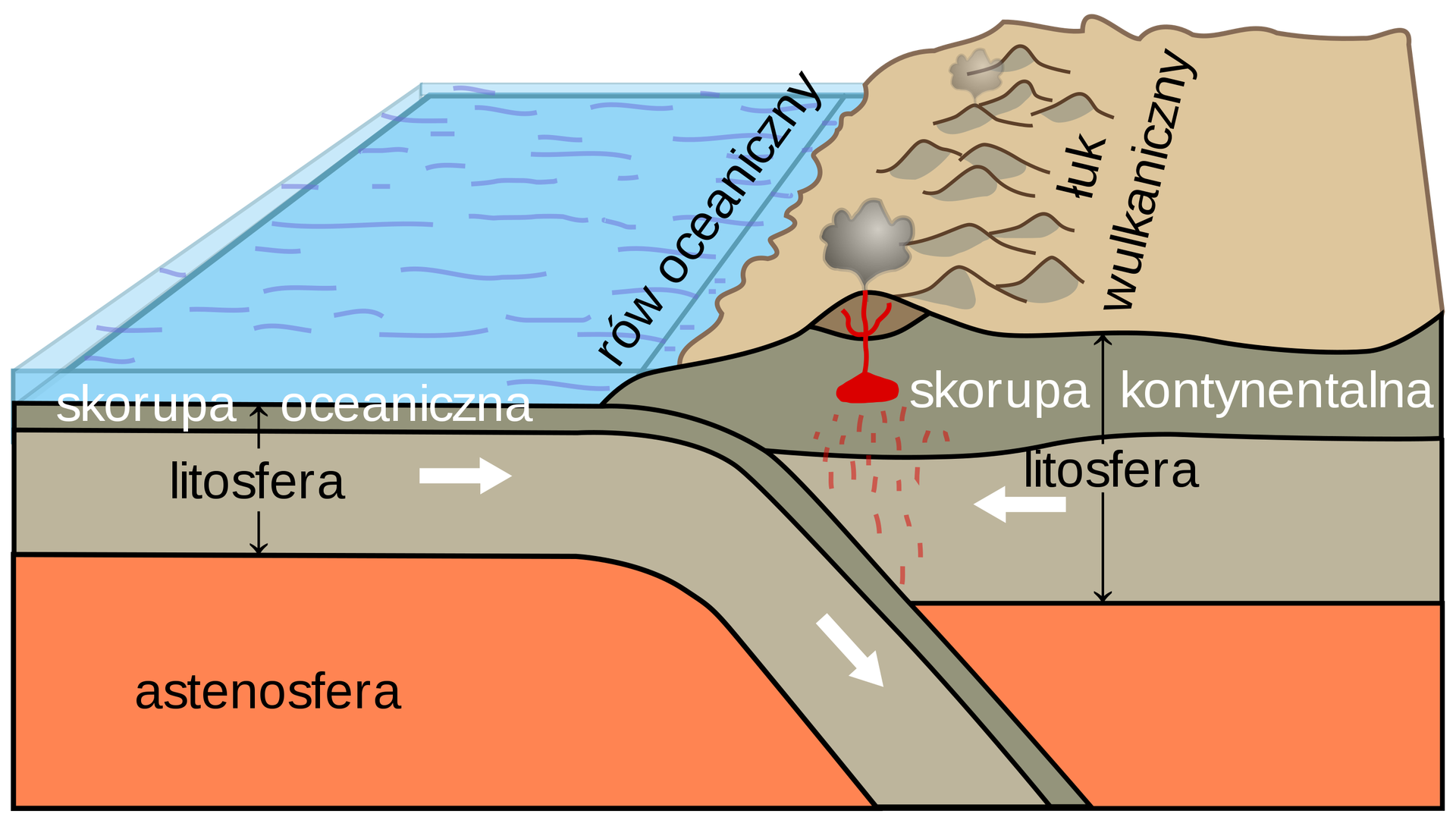 Subdukcja