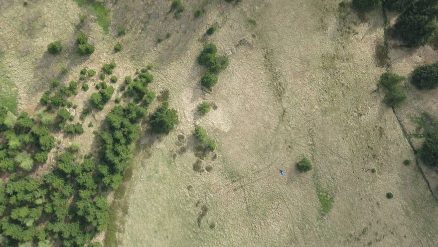Drony współpracujące z modułem do analizy zdjęć terenu mogą pomagać w akcjach poszukiwawczych