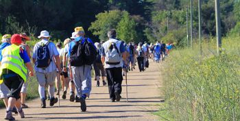 Radom: Ruszyła pielgrzymka do sanktuarium w Jarosławicach