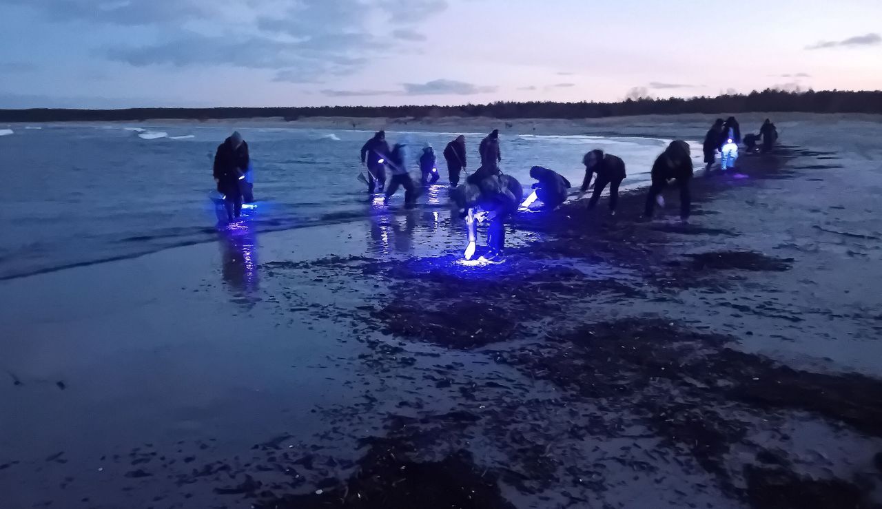 "Niech postawią fotoradary!". Uwaga na samochody na plażach