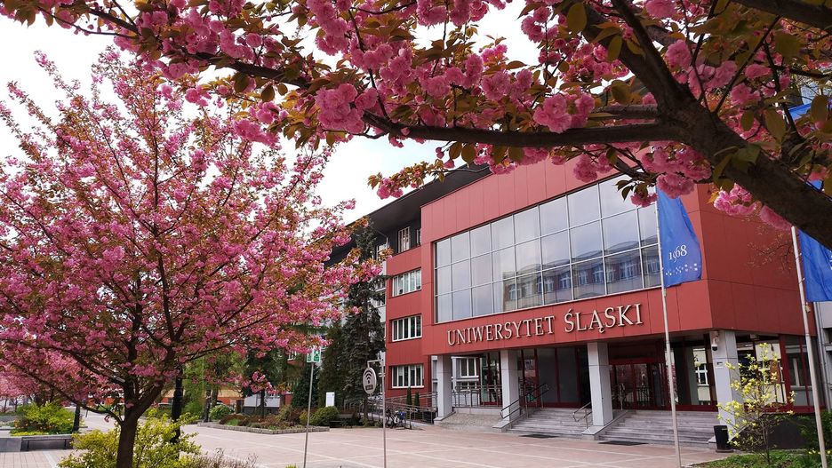Studenci Uniwersytetu Śląskiego są wzywani na policję. Chodzi o sprawę profesor Budzyńskiej