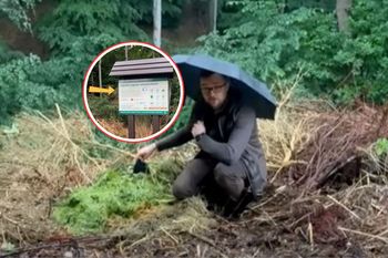 Wyrzucali do lasu. "Przecież to natura". Leśnik aż usiadł w stogach