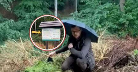 Wyrzucali do lasu. "Przecież to natura". Leśnik aż usiadł w stogach