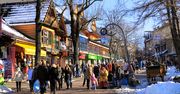 Zakopane: Wielka atrakcja w Zakopanem. Wystarczy, że skosili trawę