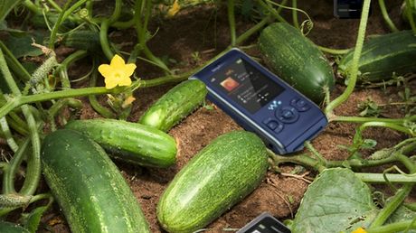 Sezon ogórkowy 2.0 1