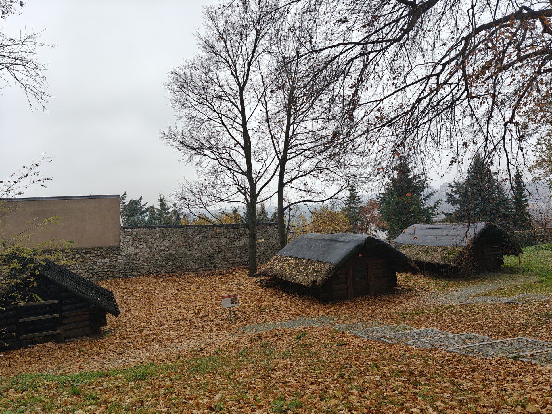 Przewijaj w dół, aby przejść do następnych zdjęć!