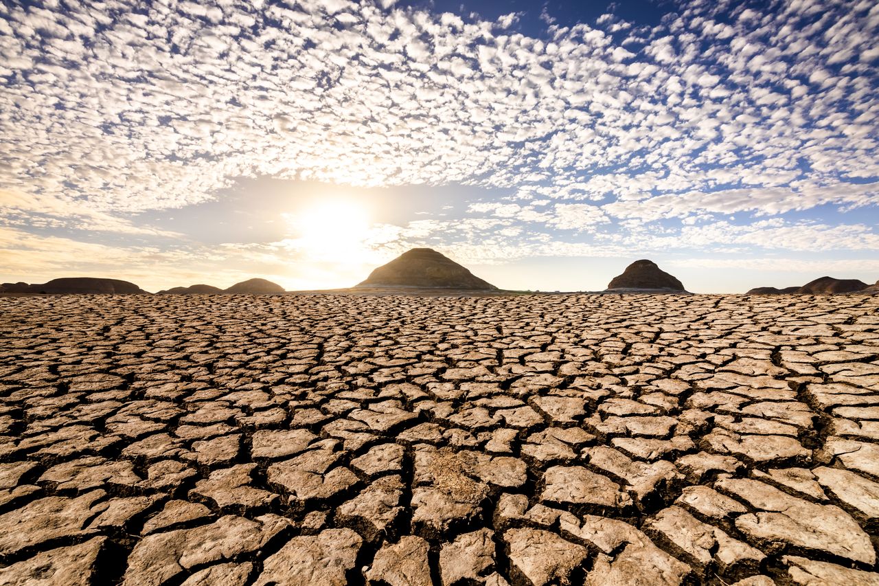 Rekordowe temperatury to nie wszystko. Alarmujący raport