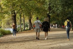 Pogoda. W weekend duże ocieplenie i mało opadów