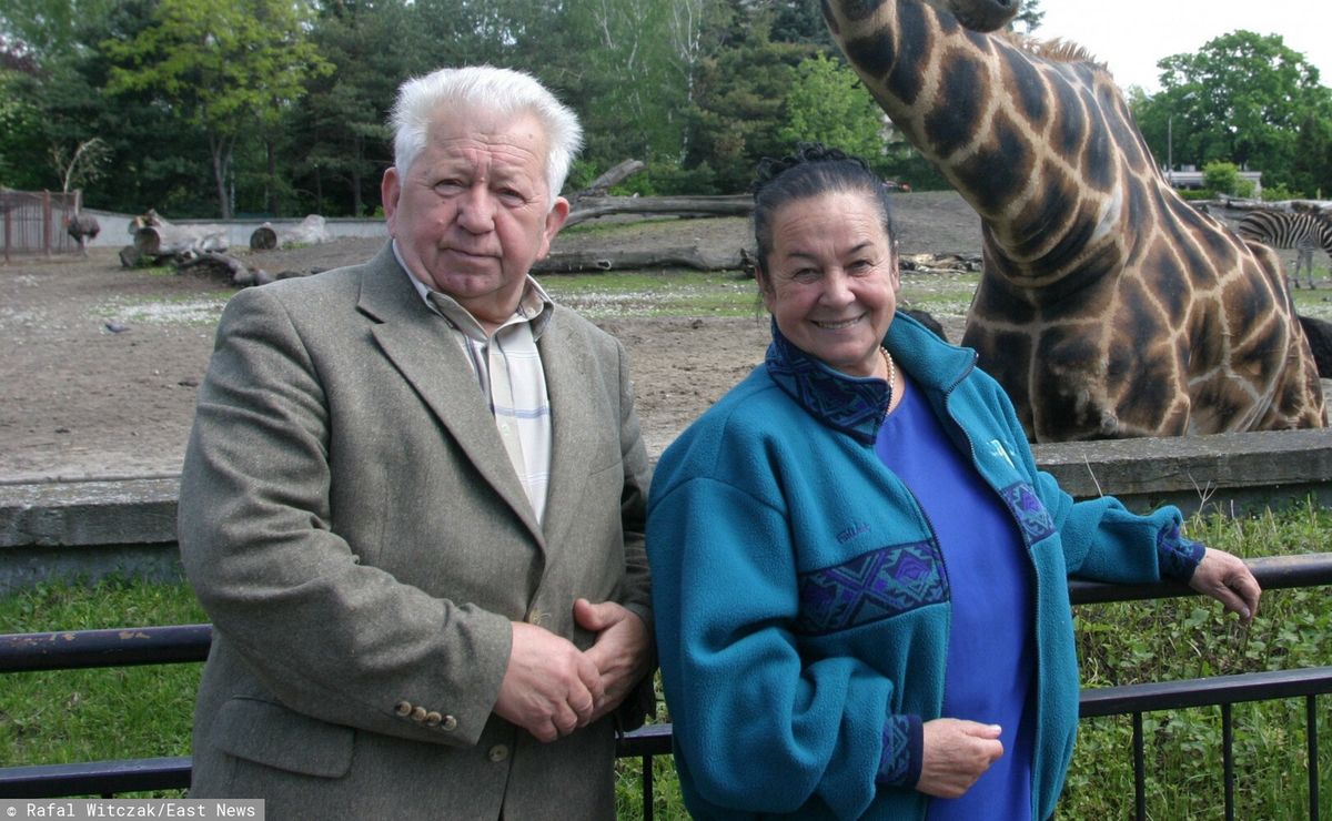 Hanna i Antoni Gucwińscy przybliżali widzom tajniki życia zwierząt