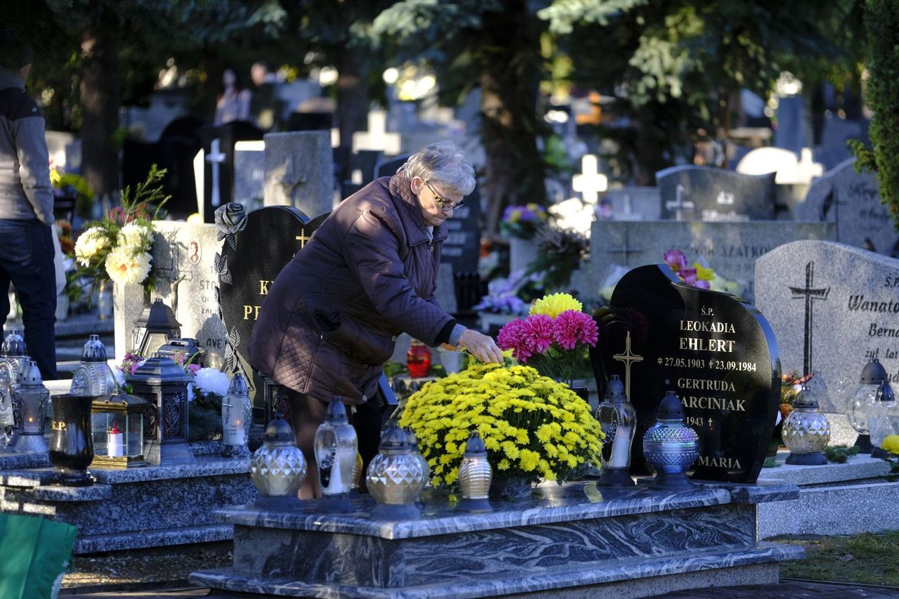1 listopada coraz bliżej. Zobacz, jak dbać o chryzantemy na cmentarzu. Wypróbuj rady i ciesz się kwiatami nie tylko na Wszystkich Świętych