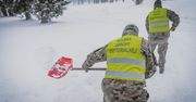 Zamość: Terytorialsi wspierają miasto. Żołnierze chwycili za łopaty