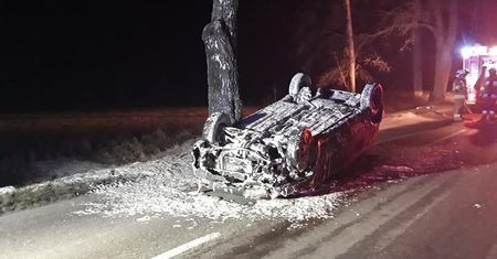 Dachowanie po zderzeniu z klępą łosia