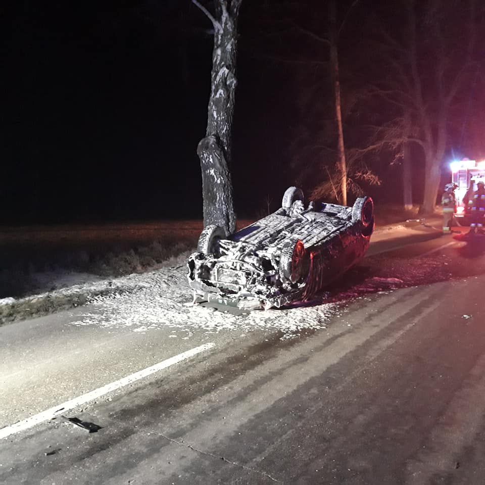 Dachowanie po zderzeniu z klępą łosia