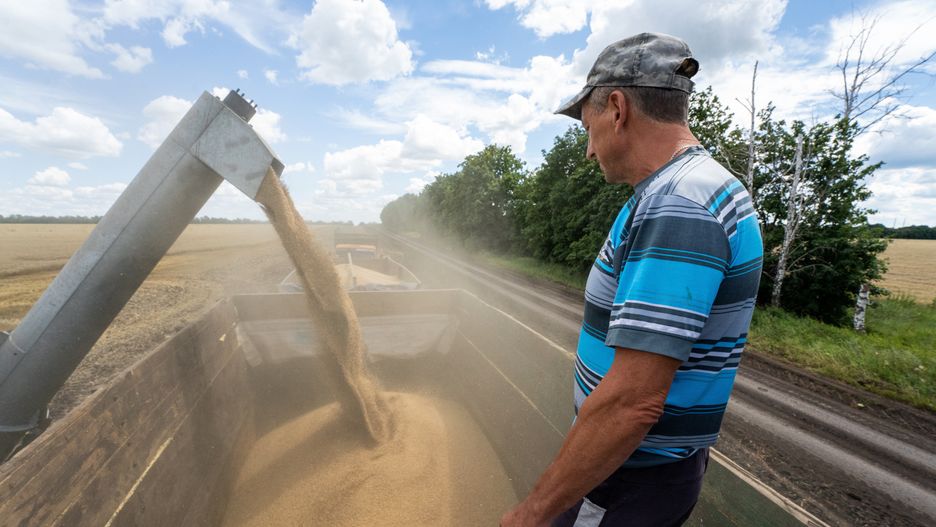 �niwa
Obw�d charkowski, Ukraina, 19.07.2022. �niwa w jednym z gospodarstw rolnych w obwodzie charkowskim, 19 bm. Trwa inwazja Rosji na Ukrain�. (mr) PAP/Mykola Kalyeniak
Mykola Kalyeniak
kombajn, maszyna rolnicza, pole, pszenica, rolnictwo, zbiory, zbo�e, zniwa, atak Rosji na Ukrain�, inwazja, konflikt zbrojny, rosyjska, rosyjski, sytuacja na Ukrainie, Wojna na Ukrainie, wok� Ukrainy, import, tranzyt, z Ukrainy, zbo�e ukrai�skie