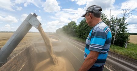 Kolejny kraj zakazuje importu produktów rolnych z Ukrainy