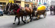 Festiwal Oscypka i Serów Wszelakich