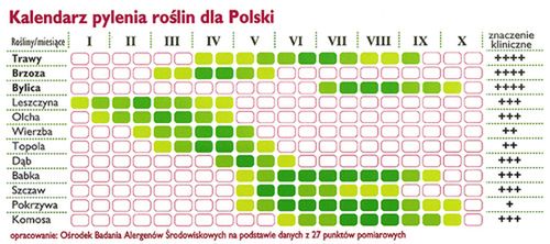 Uwaga, pyli! 2