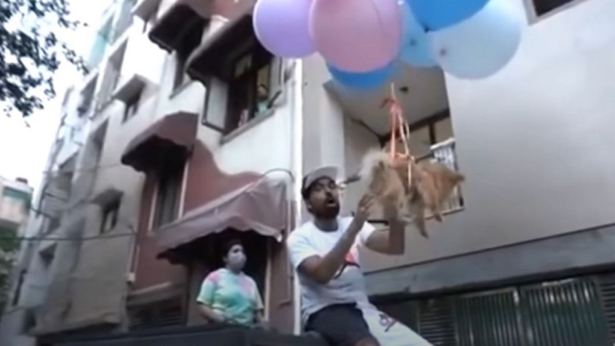 YouTuber przywiązał swojego psa do balonów i wypuścił w powietrze
