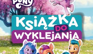 My Little Pony. Nowe pokolenie. Książka do wyklejania