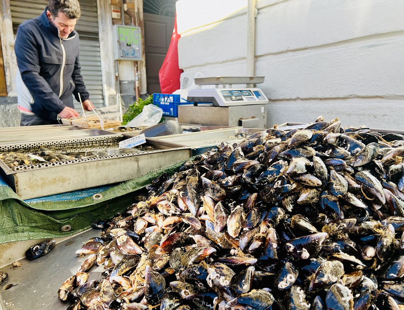 Na najsłynniejszym targu owoców morza Mercato della Pescheria