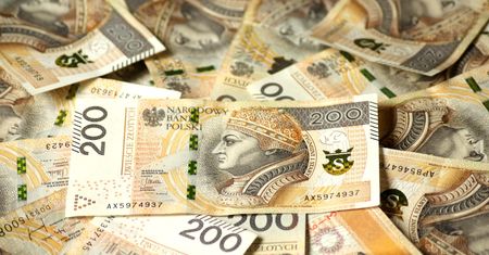 Śląskie. 10 mln zł w budżecie obywatelskim. Preferowane projekty ekologiczne