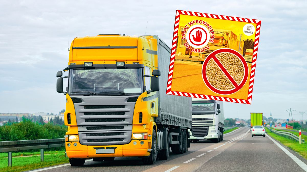 Tony prosa z Ukrainy jechały do Polski