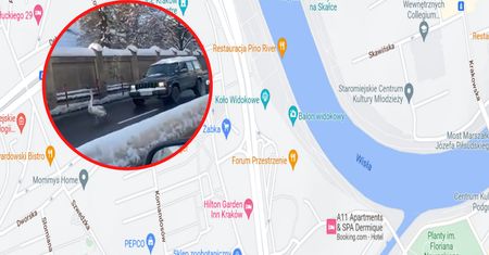 Niecodzienny widok w Krakowie. Jest nagranie