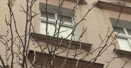 8-latek dźgnięty nożem przez swoją matkę. Kobieta także trafiła do szpitala