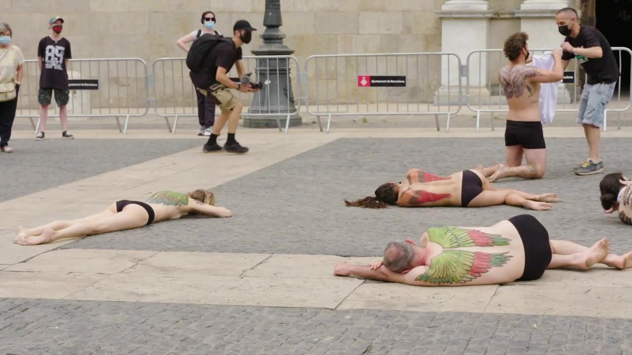 Protest półnagich aktywistów w Barcelonie w obronie zwierząt.