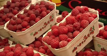 Możesz je jeść do woli! 10 owoców, które zawierają najwięcej wody.