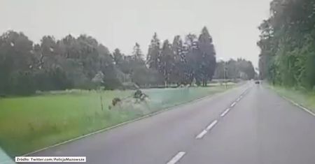 Pijany kierowca dachował pod Mławą. Po wypadku próbował uciekać pieszo