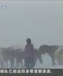 Mongolia również sparaliżowana atakiem zimy - video