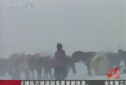 Mongolia również sparaliżowana atakiem zimy - video