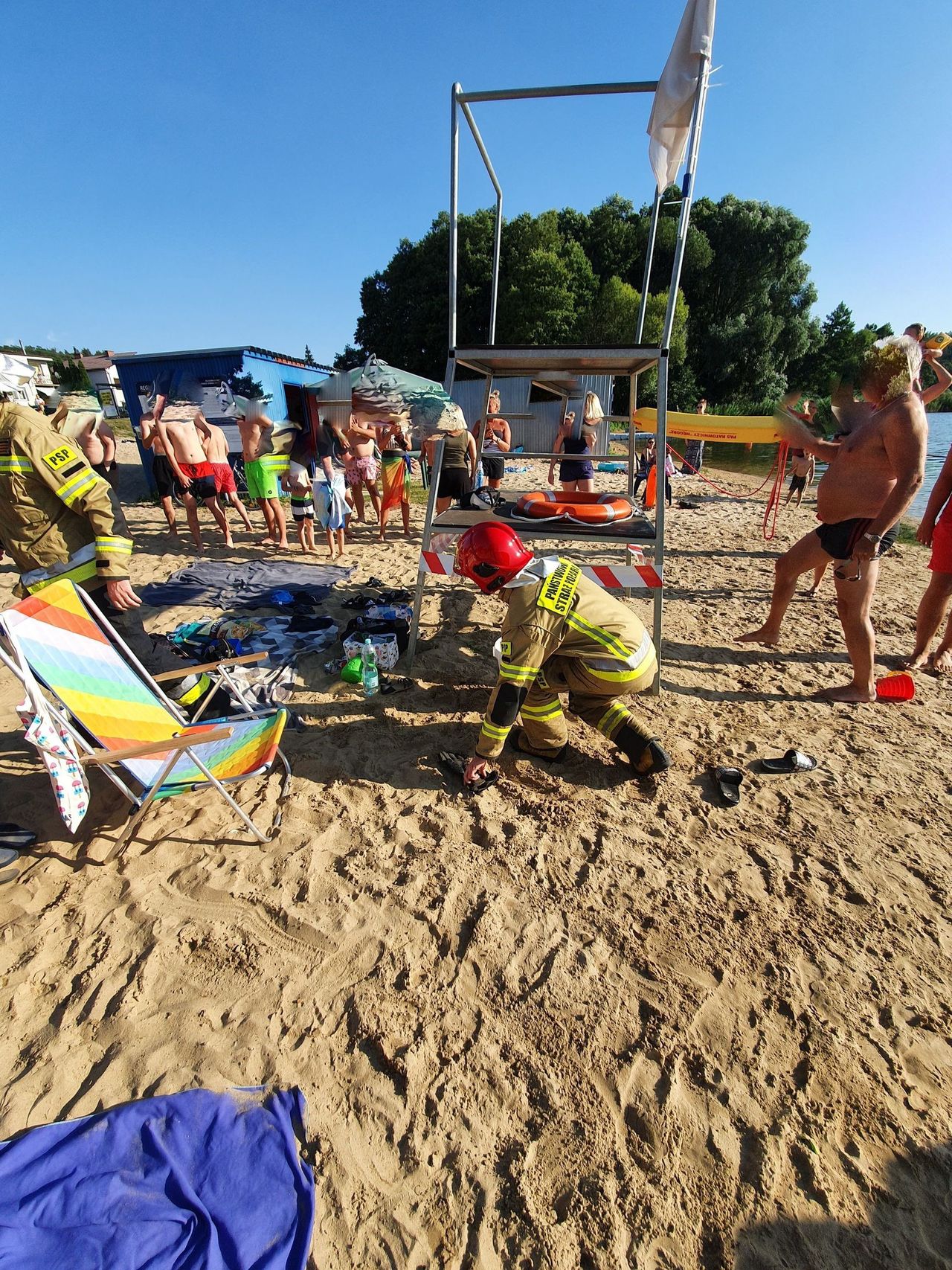 Wąż grasował po plaży, a osy w samochodzie