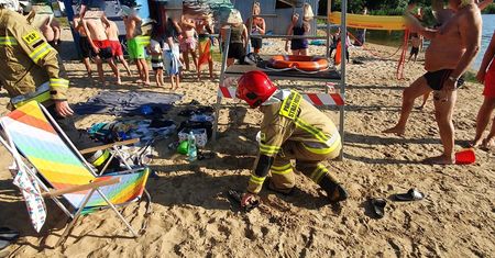 Wąż grasował po plaży, a osy w samochodzie