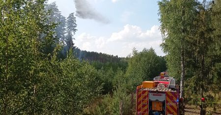 Samoloty gasiły pożar w powiecie chodzieskim
