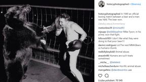 Okrutna historia - człowiek walczył z niedźwiedziem