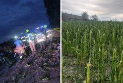"Tam już nic nie zostało". Horror u rolników trwał równo 15 minut