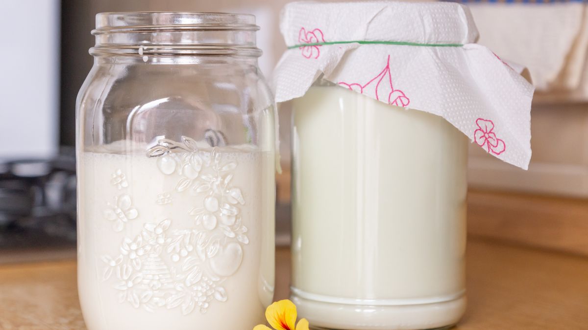 Dlaczego warto spożywać kefir?