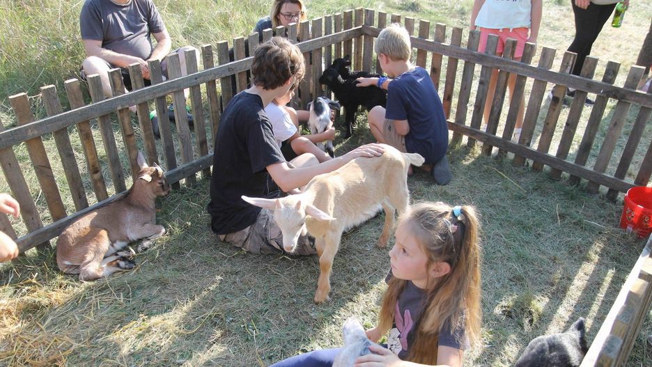 Na Festiwal Tradycyjnej Wsi Polskiej w Borównie nie zabraknie atrakcji dla dzieci i rodziców