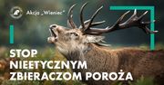 Stop nieetycznym zbieraczom poroża