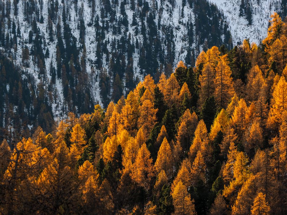 Planowanie czy przypadek, czyli fotograficzne przygotowanie do wyjazdu w Alpy 8