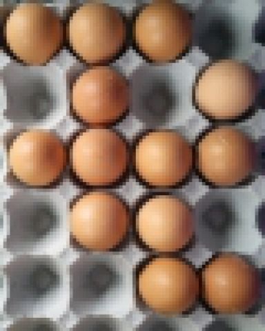 Klatkowe jaja bezpieczniejsze dla konsumentów