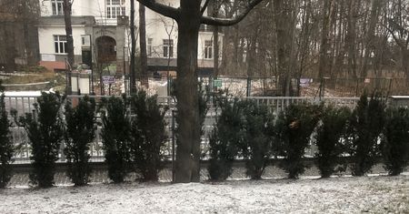 Warszawa. Spadł pierwszy śnieg! IMGW alarmuje