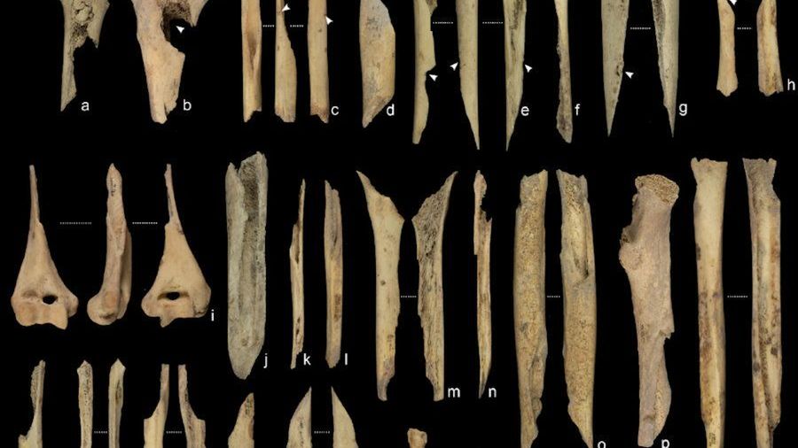 fot. M.D.Guillén/IPHES/ Scientific Reports