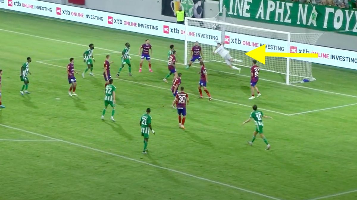 YouTube / TVP Sport / Udana interwencja Vladana Kovacevicia