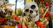 Poznań: Halloween nadal wzbudza kontrowersje. Jezuita komentuje