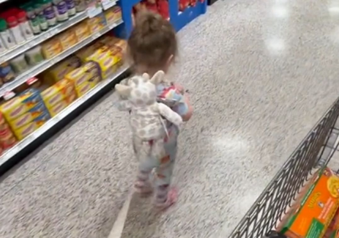 Dwuletnia Fern chodzi na smyczy