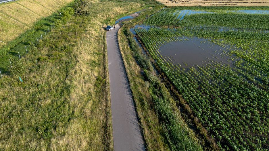 Zalane pola uprawne na Żuławach